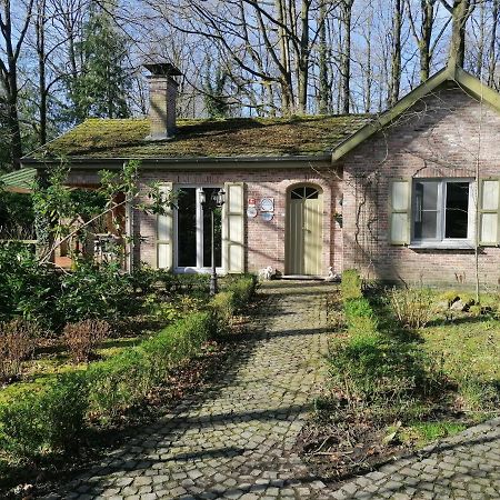 Rainbow Lodge Ursel Exteriér fotografie